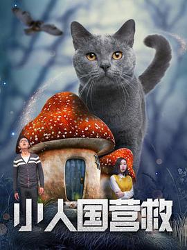 午夜国产情侣拍视频