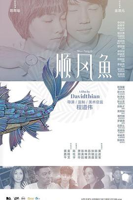 小舞大雷泳衣图片